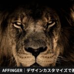 【上級編】AFFINGER｜デザインカスタマイズで差をつける