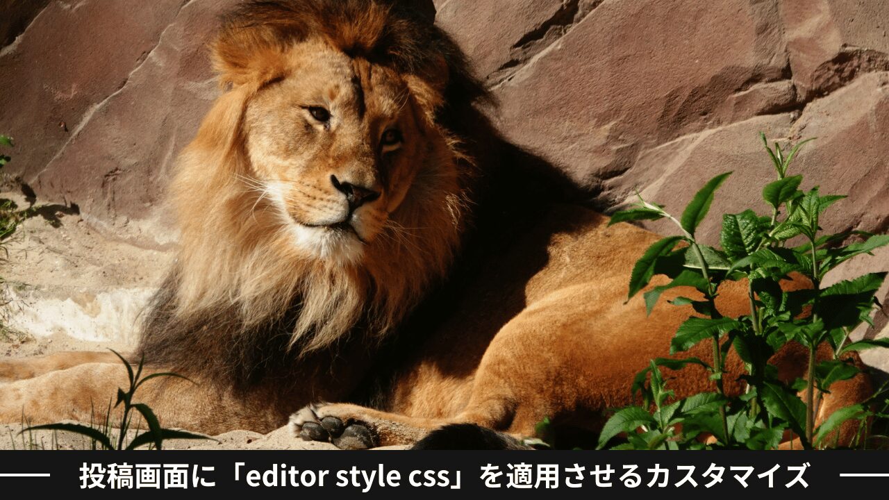 AFFINGER6のブロックエディタ投稿画面を実際の画面に合わせる「editor style css」を適用させるカスタマイズ