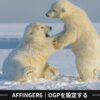 AFFINGER6｜OGPを設定する