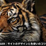 AFFINGER｜サイトのデザインと色使いのコツを学ぶのコピー