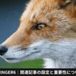 AFFINGER6｜関連記事の設定と重要性について