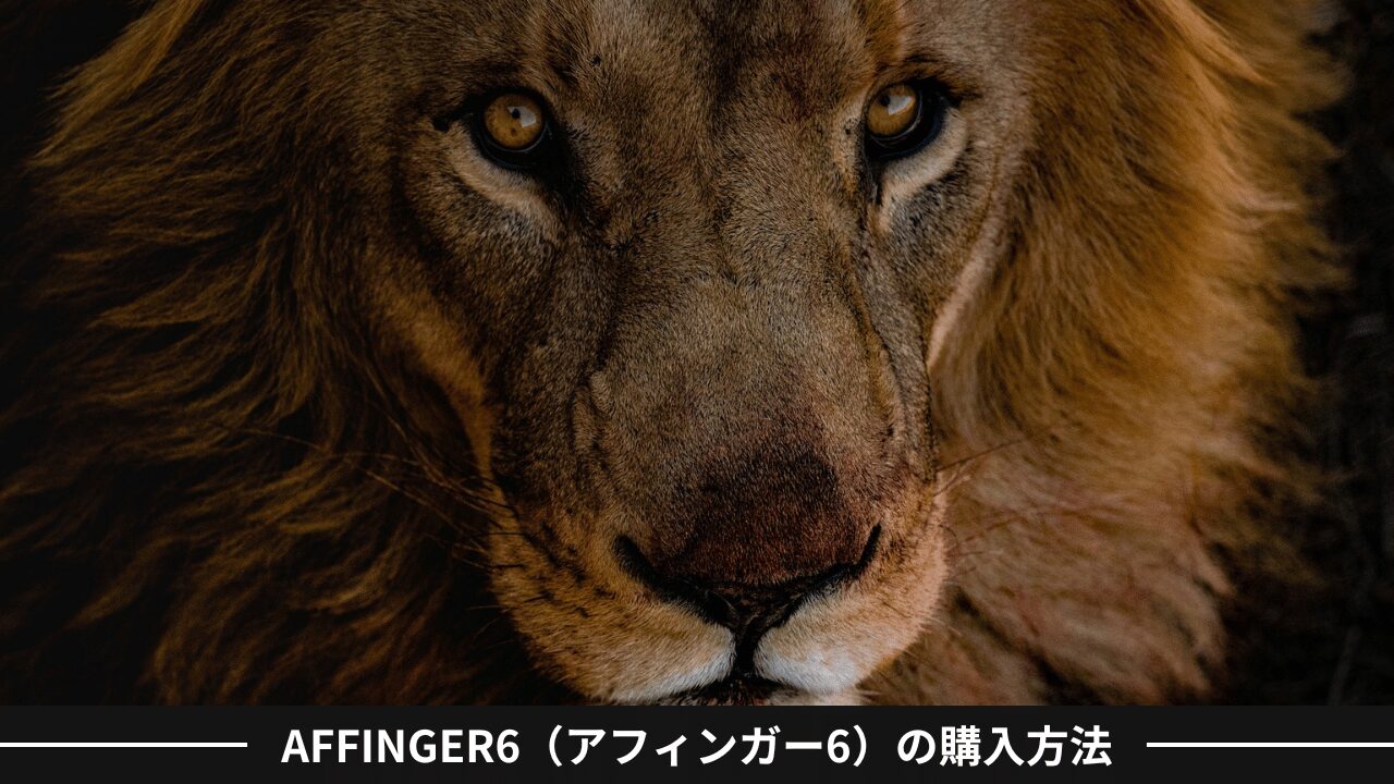 AFFINGER6（アフィンガー6）の購入方法