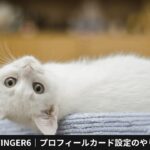 AFFINGER6｜プロフィールカード設定のやり方