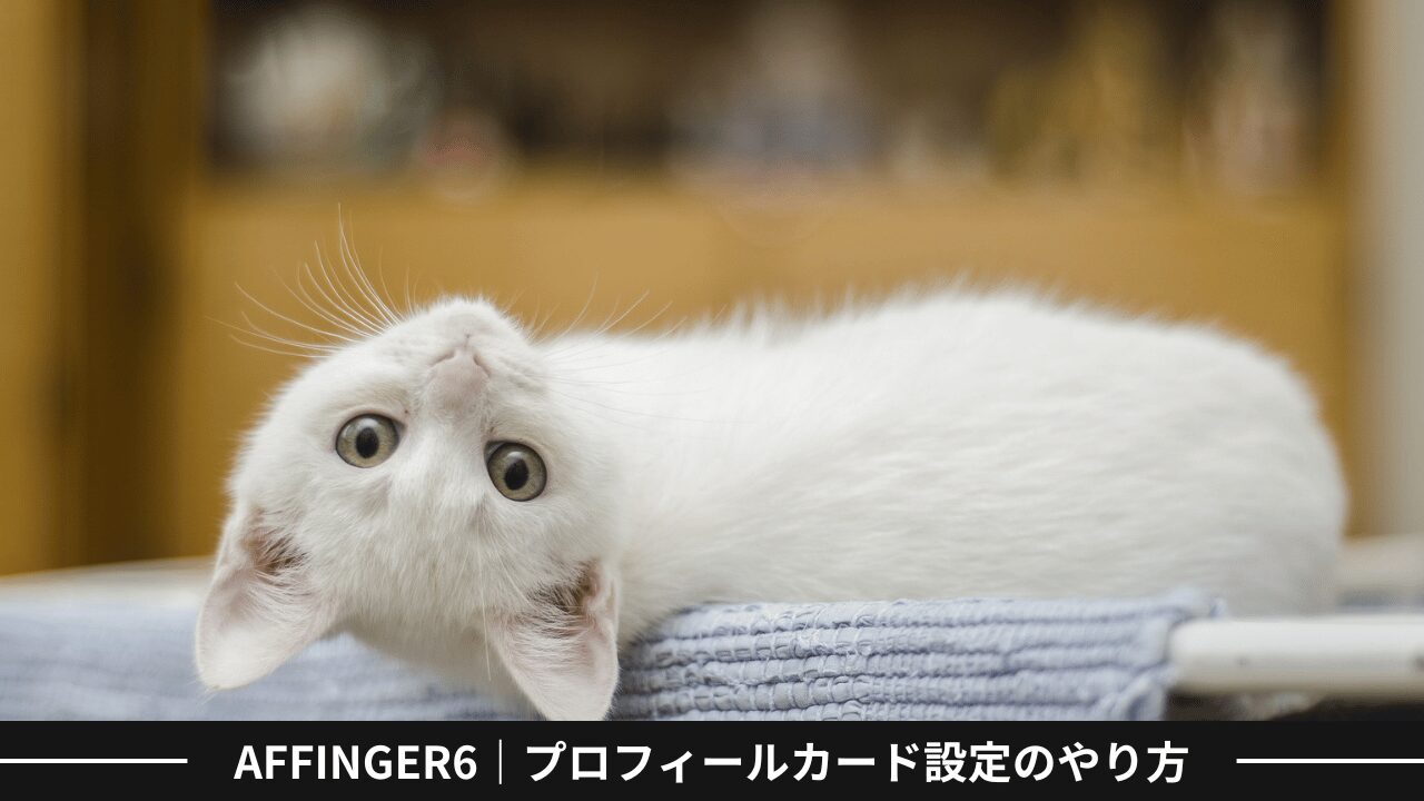 AFFINGER6｜プロフィールカード設定のやり方