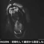 AFFINGER6｜初期化して最初から設定しなおす