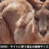 AFFINGER6｜サイトに使う適正の画像サイズまとめ