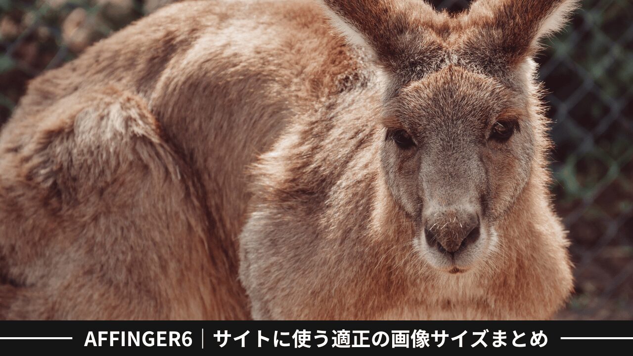 AFFINGER6｜サイトに使う適正の画像サイズまとめ