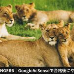 AFFINGER6｜GoogleAdSenseで合格後にやる事