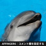 AFFINGER6｜コメント欄を設定する