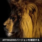AFFINGERのバージョンを確認する