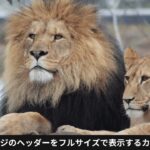 トップページのヘッダーをフルサイズで表示するカスタマイズ