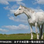 AFFINGERパスワードロックの追加と最新版のAFFINGER6について