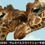 AFFINGER6｜サムネイルスライドショーを設定して記事一覧を表示する