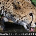 AFFINGER6｜トップページのSEOを設定する