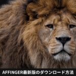 AFFINGER最新版のダウンロード方法