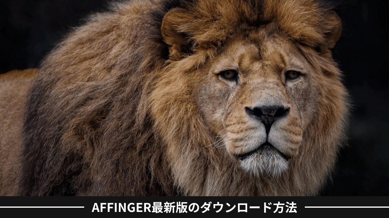 AFFINGER最新版のダウンロード方法